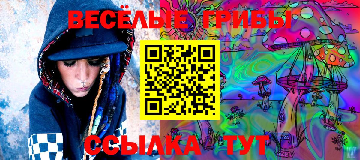 Владимир  Галлюциногенные грибы Magic Shrooms  Вход с VPN  Галлюциногенные грибы MAGIC MUSHROOMS 